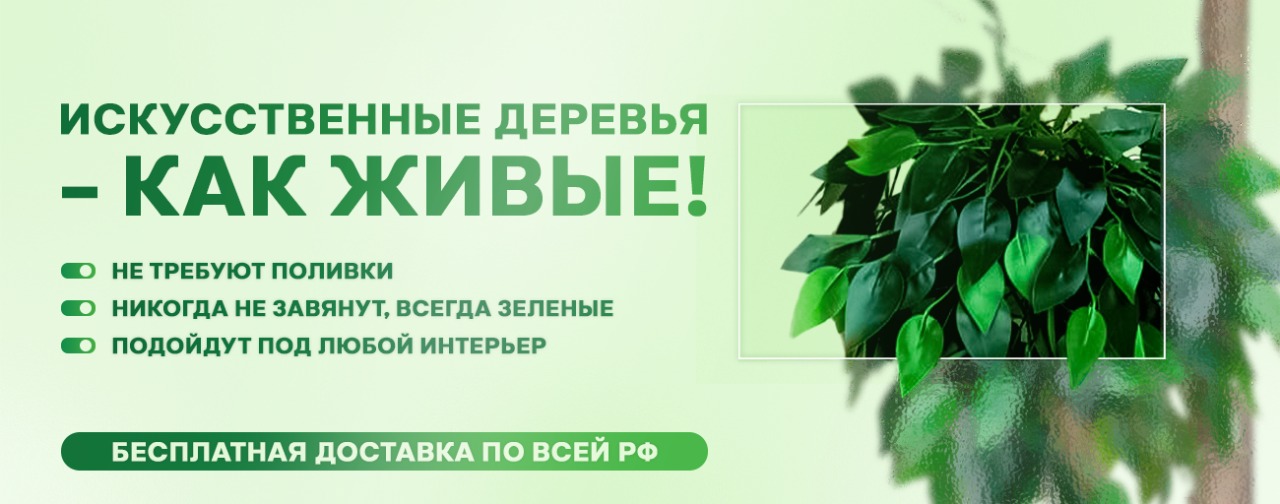 главная 