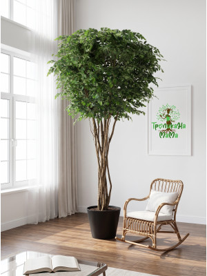 Фикус искусственный, 320 см