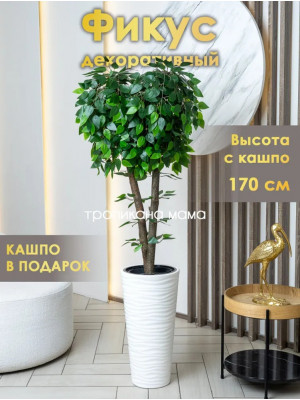 Декоративное дерево фикус в кашпо для декора интерьера