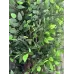 Искусственное дерево для декора в горшке фикус 200 см