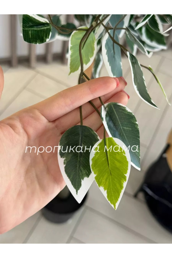 Искусственное дерево напольное, фикус