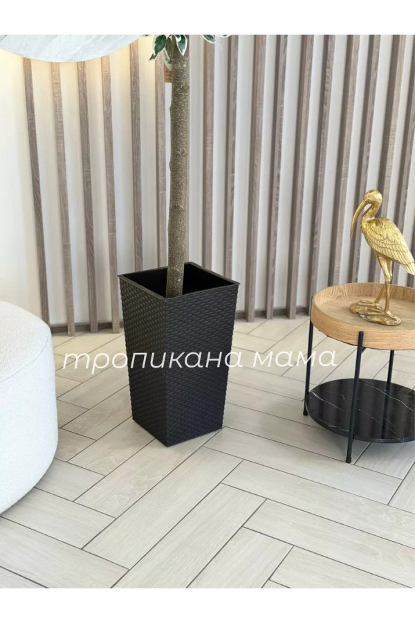 Искусственное дерево напольное, фикус