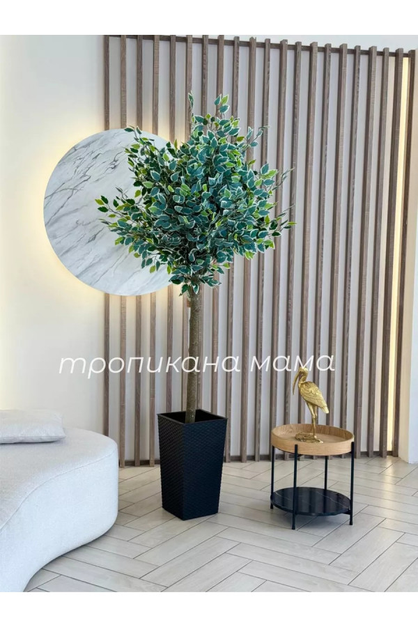 Искусственное дерево напольное, фикус