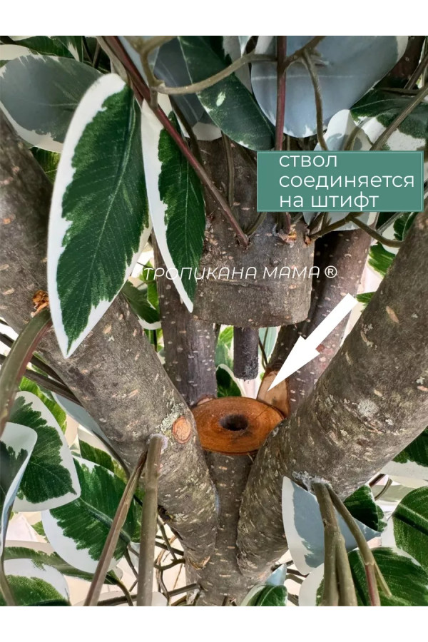Искусственное дерево напольное, фикус