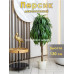 Искусственное дерево персик 130см